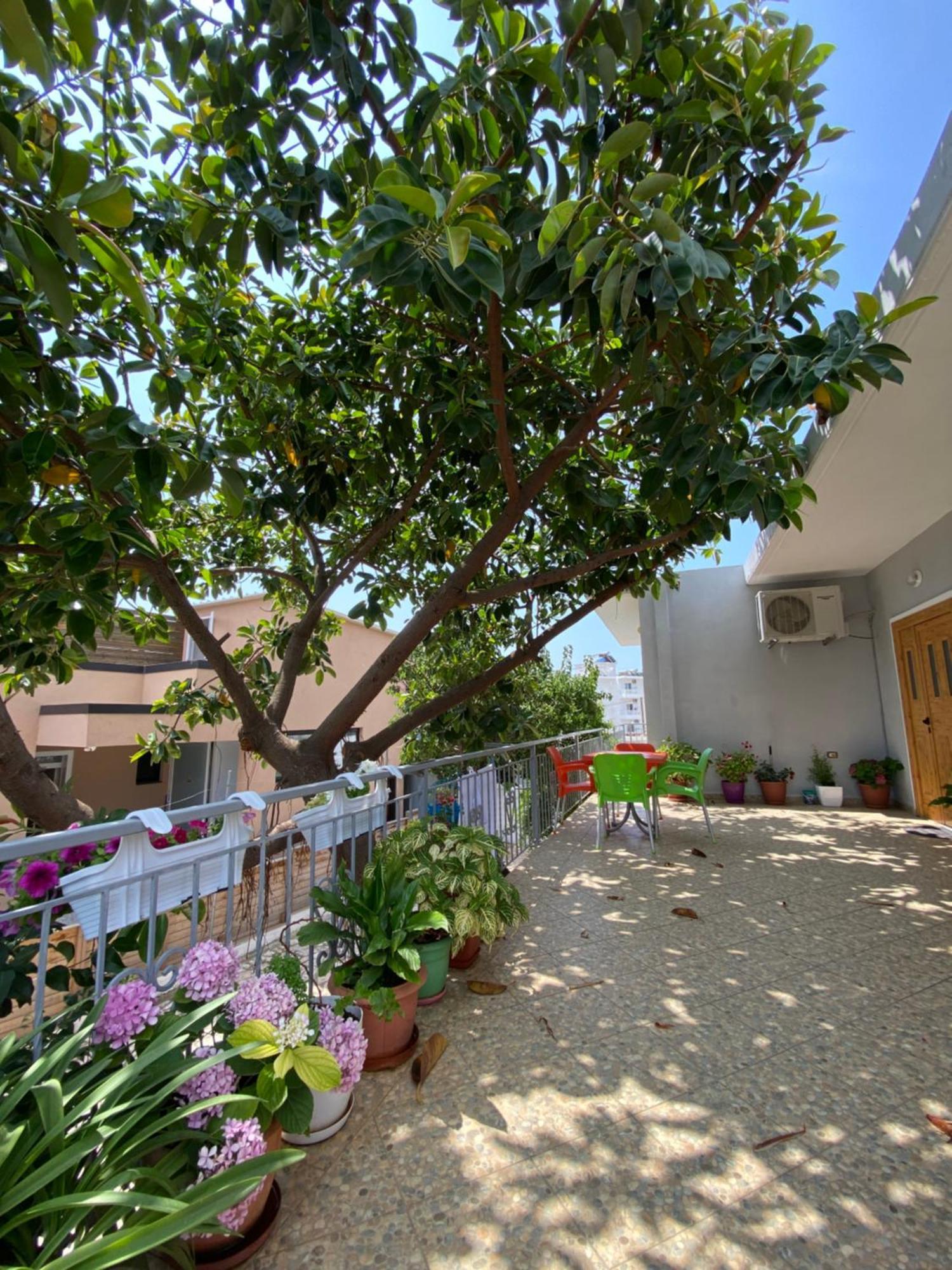 Albi'S Guesthouse Ksamil Exterior photo